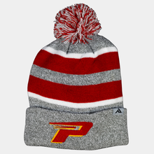 Beanie Multi Stripe