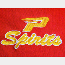Zip Hooded Sweatshirt  Red